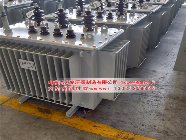 许昌S13-1000KVA变压器